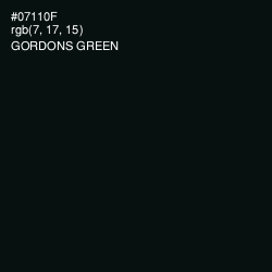 #07110F - Gordons Green Color Image